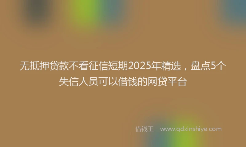 无抵押贷款不看征信短期2025年精选，盘点5个失信人员可以借钱的网贷平台