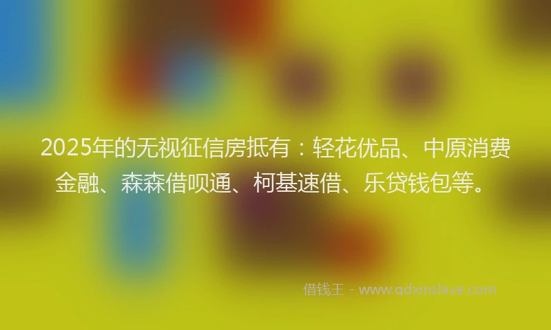 2025年的无视征信房抵有：轻花优品、中原消费金融、森森借呗通、柯基速借、乐贷钱包等。