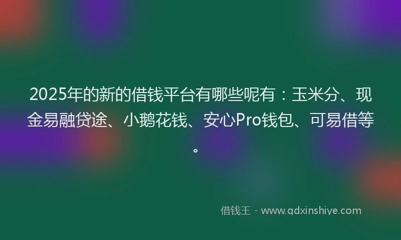 2025年的新的借钱平台有哪些呢有：玉米分、现金易融贷途、小鹅花钱、安心Pro钱包、可易借等。