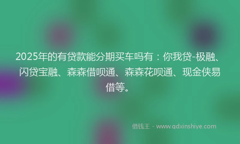 2025年的有贷款能分期买车吗有：你我贷-极融、闪贷宝融、森森借呗通、森森花呗通、现金侠易借等。