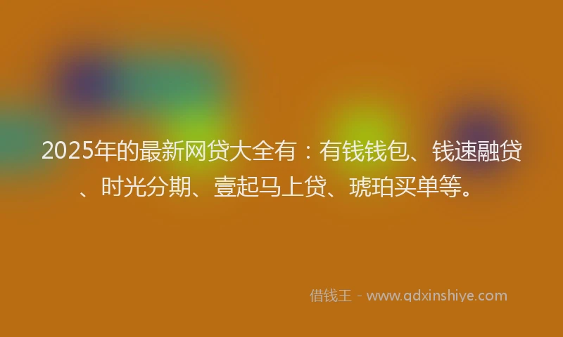 2025年的最新网贷大全有：有钱钱包、钱速融贷、时光分期、壹起马上贷、琥珀买单等。