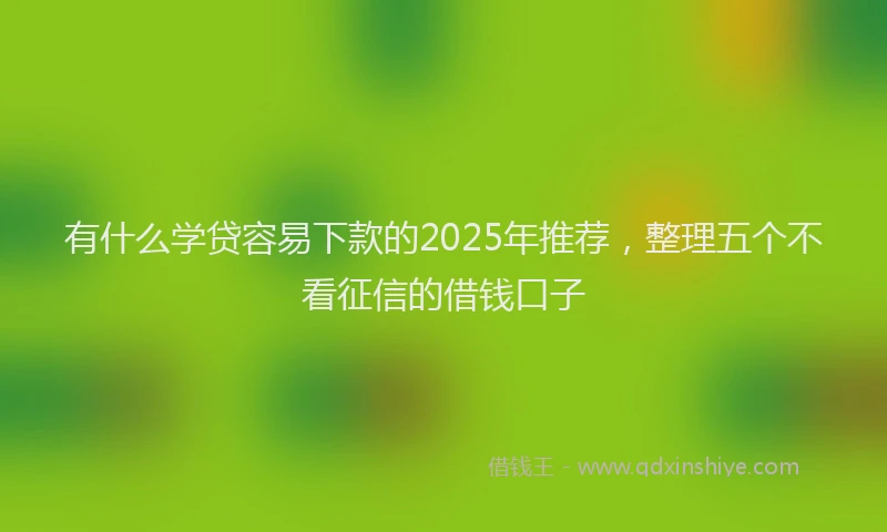 有什么学贷容易下款的2025年推荐，整理五个不看征信的借钱口子