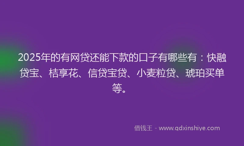 2025年的有网贷还能下款的口子有哪些有：快融贷宝、桔享花、信贷宝贷、小麦粒贷、琥珀买单等。