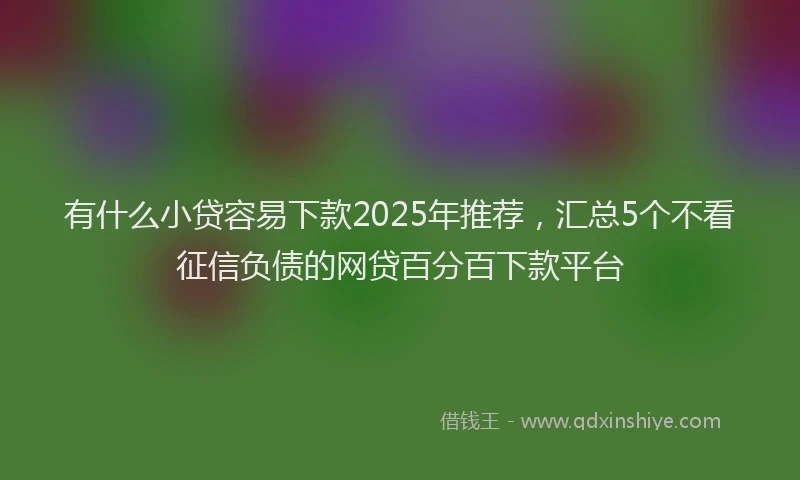 有什么小贷容易下款2025年推荐，汇总5个不看征信负债的网贷百分百下款平台