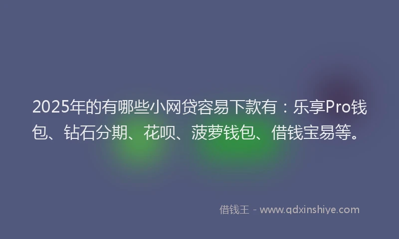 2025年的有哪些小网贷容易下款有：乐享Pro钱包、钻石分期、花呗、菠萝钱包、借钱宝易等。