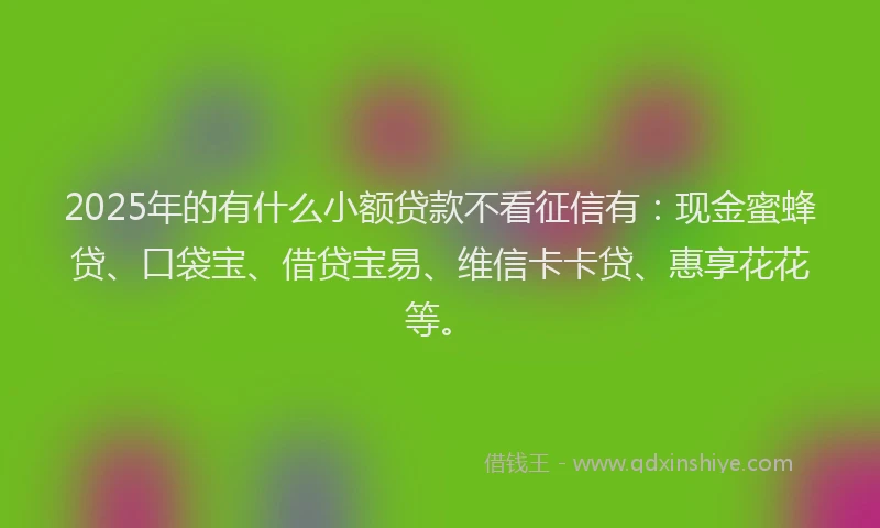 2025年的有什么小额贷款不看征信有：现金蜜蜂贷、口袋宝、借贷宝易、维信卡卡贷、惠享花花等。