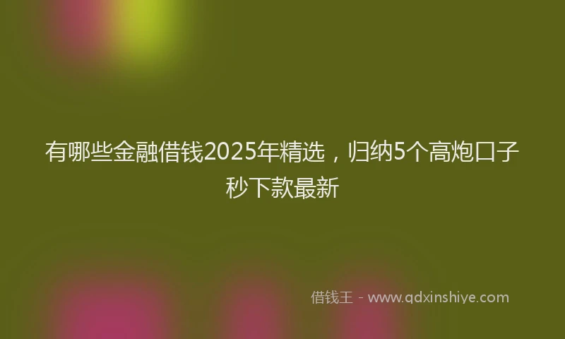 有哪些金融借钱2025年精选，归纳5个高炮口子秒下款最新