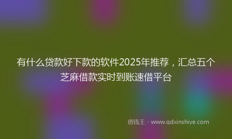 有什么贷款好下款的软件2025年推荐，汇总五个芝麻借款实时到账速借平台