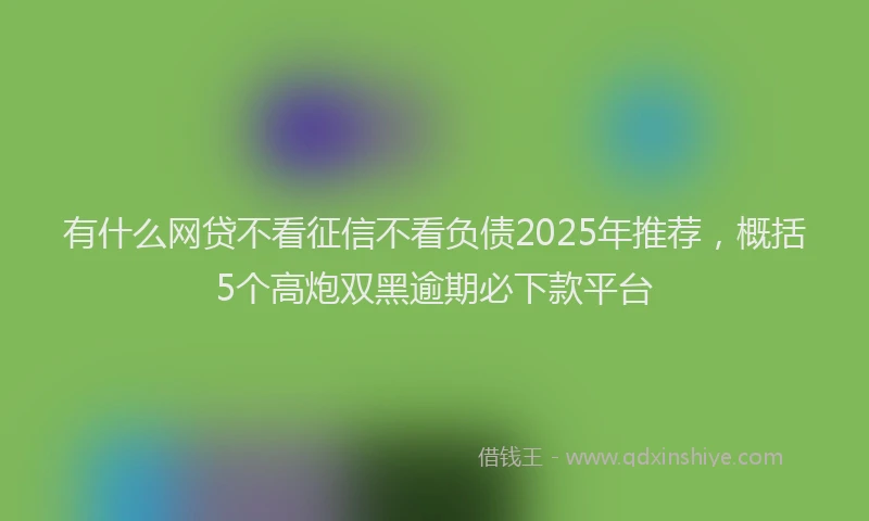 有什么网贷不看征信不看负债2025年推荐，概括5个高炮双黑逾期必下款平台