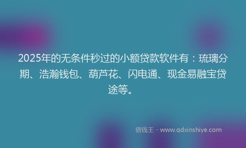 2025年的无条件秒过的小额贷款软件有：琉璃分期、浩瀚钱包、葫芦花、闪电通、现金易融宝贷途等。