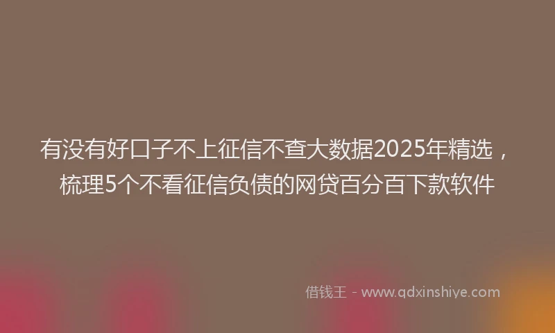 有没有好口子不上征信不查大数据2025年精选，梳理5个不看征信负债的网贷百分百下款软件
