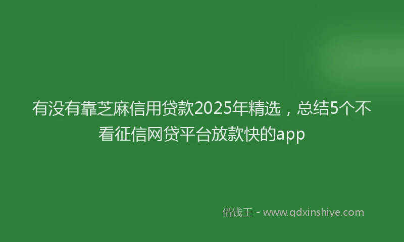 有没有靠芝麻信用贷款2025年精选，总结5个不看征信网贷平台放款快的app