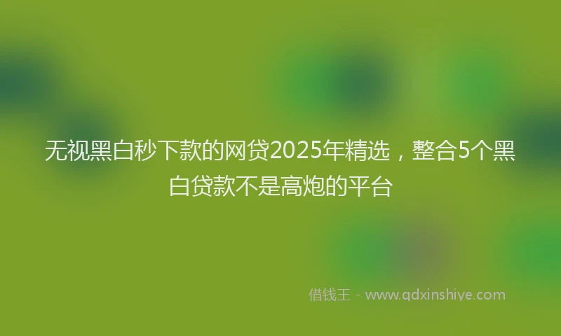 无视黑白秒下款的网贷2025年精选，整合5个黑白贷款不是高炮的平台