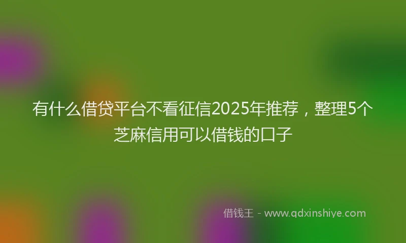 有什么借贷平台不看征信2025年推荐，整理5个芝麻信用可以借钱的口子
