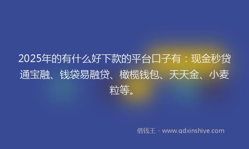 2025年的有什么好下款的平台口子有：现金秒贷通宝融、钱袋易融贷、橄榄钱包、天天金、小麦粒等。