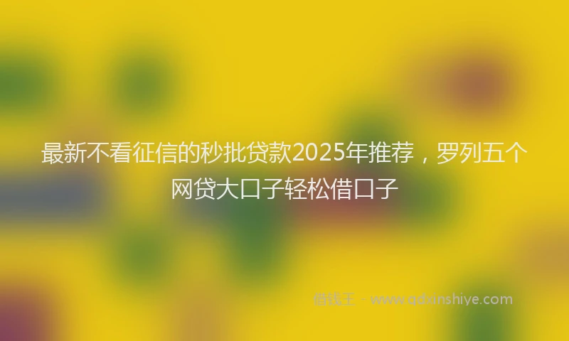 最新不看征信的秒批贷款2025年推荐，罗列五个网贷大口子轻松借口子