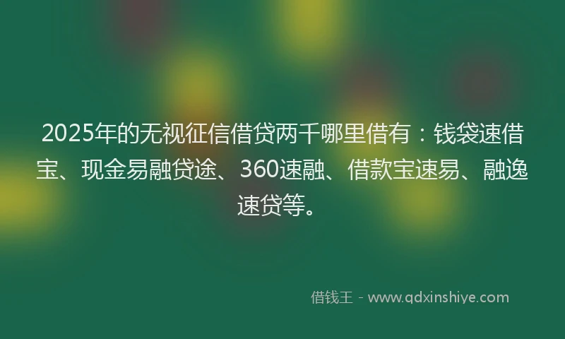 2025年的无视征信借贷两千哪里借有：钱袋速借宝、现金易融贷途、360速融、借款宝速易、融逸速贷等。