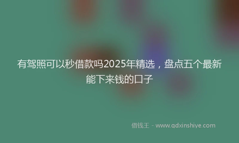 有驾照可以秒借款吗2025年精选，盘点五个最新能下来钱的口子