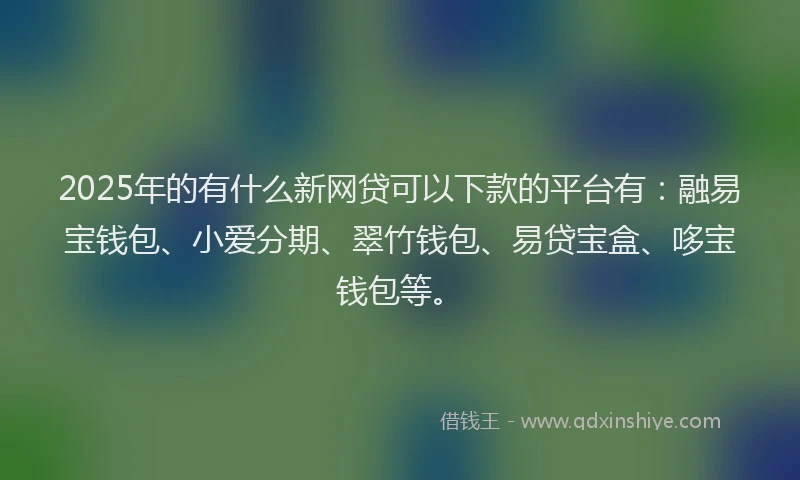 2025年的有什么新网贷可以下款的平台有：融易宝钱包、小爱分期、翠竹钱包、易贷宝盒、哆宝钱包等。