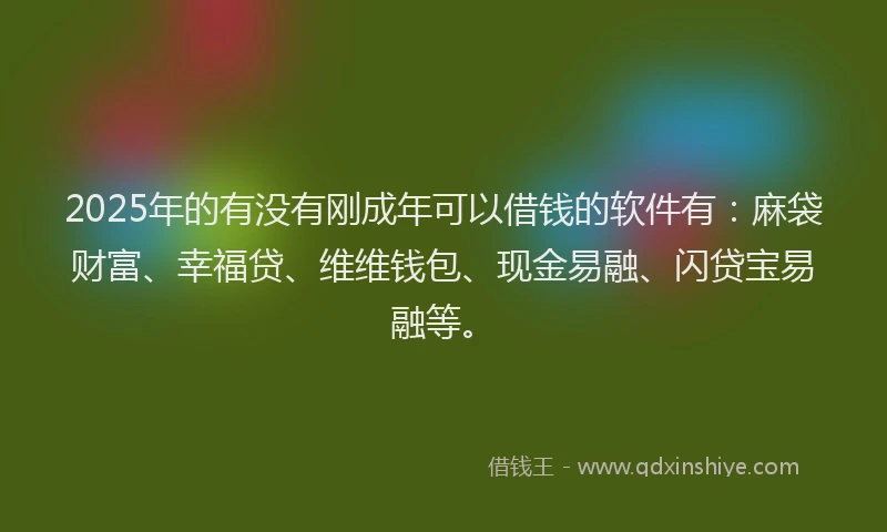 2025年的有没有刚成年可以借钱的软件有:麻袋财富、幸福贷、维维钱包、现金易融、闪贷宝易融等。