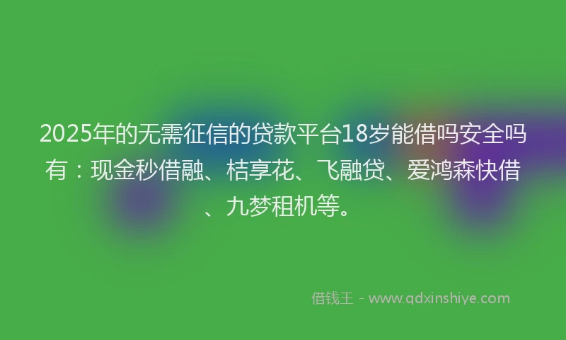 2025年的无需征信的贷款平台18岁能借吗安全吗有：现金秒借融、桔享花、飞融贷、爱鸿森快借、九梦租机等。