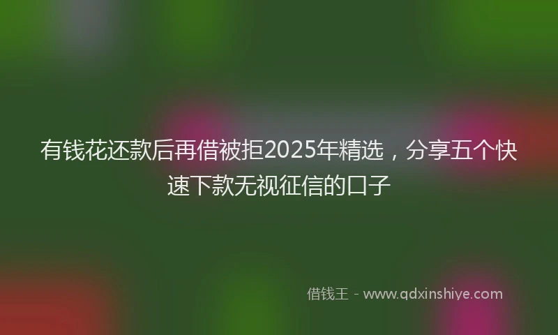 有钱花还款后再借被拒2025年精选，分享五个快速下款无视征信的口子