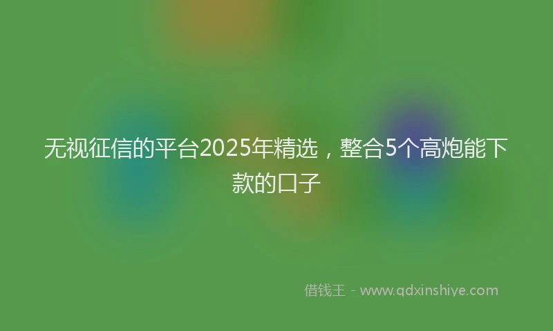 无视征信的平台2025年精选，整合5个高炮能下款的口子