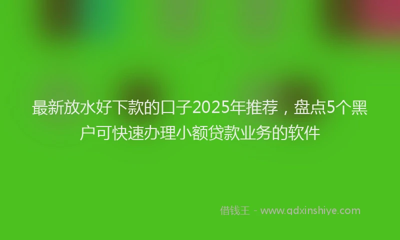 最新放水好下款的口子2025年推荐，盘点5个黑户可快速办理小额贷款业务的软件