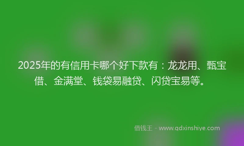 2025年的有信用卡哪个好下款有：龙龙用、甄宝借、金满堂、钱袋易融贷、闪贷宝易等。