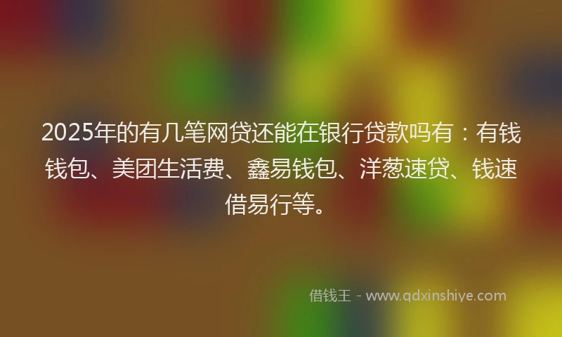 2025年的有几笔网贷还能在银行贷款吗有：有钱钱包、美团生活费、鑫易钱包、洋葱速贷、钱速借易行等。