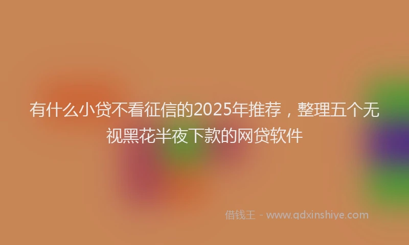 有什么小贷不看征信的2025年推荐，整理五个无视黑花半夜下款的网贷软件