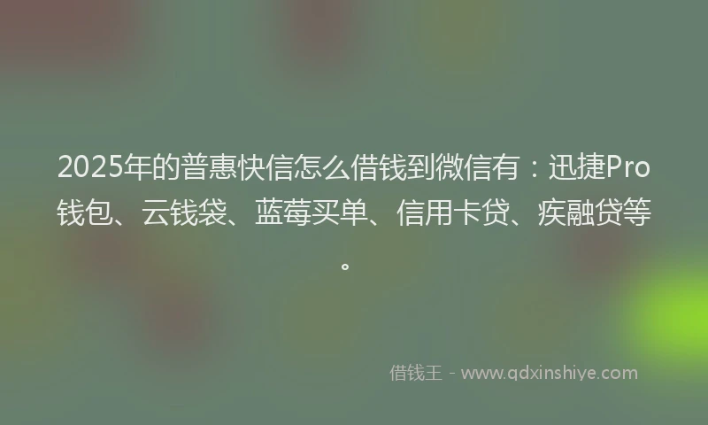 2025年的普惠快信怎么借钱到微信有：迅捷Pro钱包、云钱袋、蓝莓买单、信用卡贷、疾融贷等。