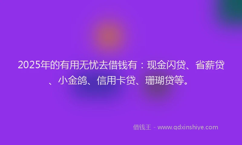 2025年的有用无忧去借钱有：现金闪贷、省薪贷、小金鸽、信用卡贷、珊瑚贷等。