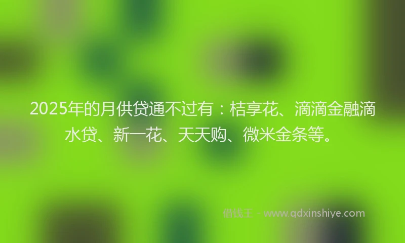 2025年的月供贷通不过有：桔享花、滴滴金融滴水贷、新一花、天天购、微米金条等。