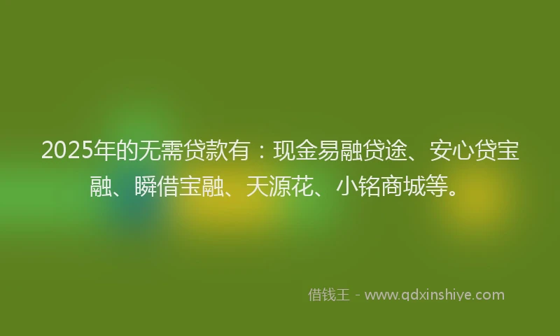 2025年的无需贷款有：现金易融贷途、安心贷宝融、瞬借宝融、天源花、小铭商城等。