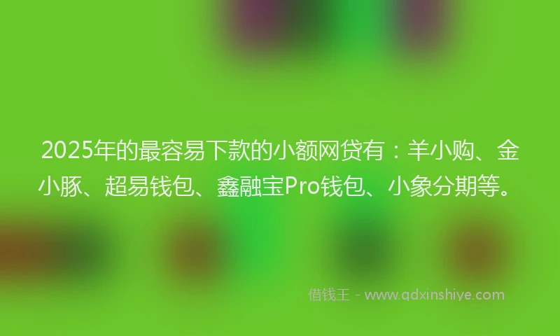 2025年的最容易下款的小额网贷有：羊小购、金小豚、超易钱包、鑫融宝Pro钱包、小象分期等。
