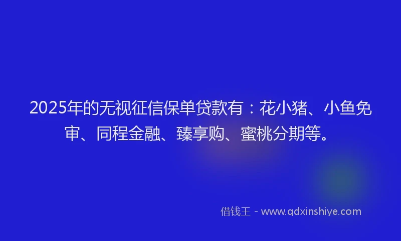 2025年的无视征信保单贷款有：花小猪、小鱼免审、同程金融、臻享购、蜜桃分期等。