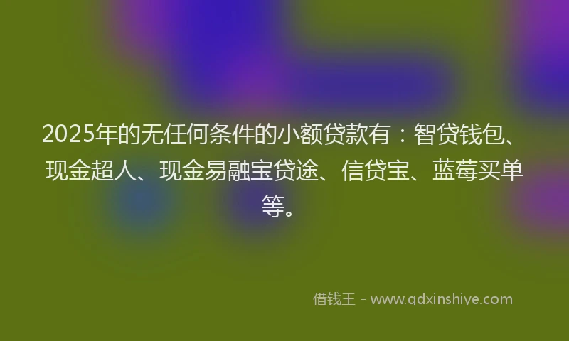 2025年的无任何条件的小额贷款有：智贷钱包、现金超人、现金易融宝贷途、信贷宝、蓝莓买单等。