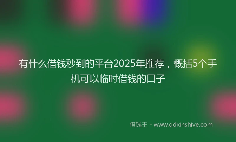 有什么借钱秒到的平台2025年推荐，概括5个手机可以临时借钱的口子