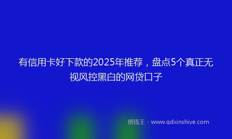 有信用卡好下款的2025年推荐，盘点5个真正无视风控黑白的网贷口子