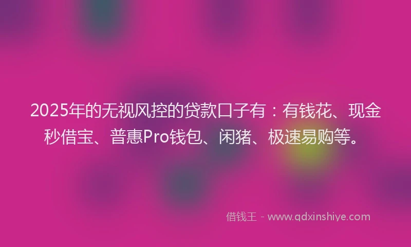 2025年的无视风控的贷款口子有：有钱花、现金秒借宝、普惠Pro钱包、闲猪、极速易购等。