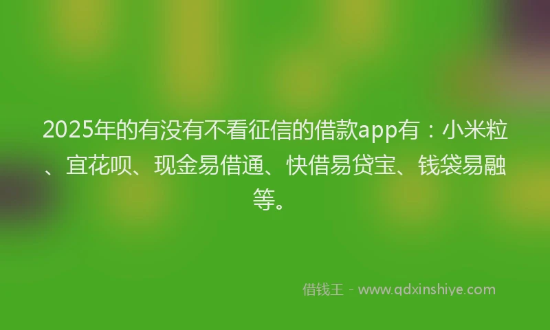 2025年的有没有不看征信的借款app有：小米粒、宜花呗、现金易借通、快借易贷宝、钱袋易融等。
