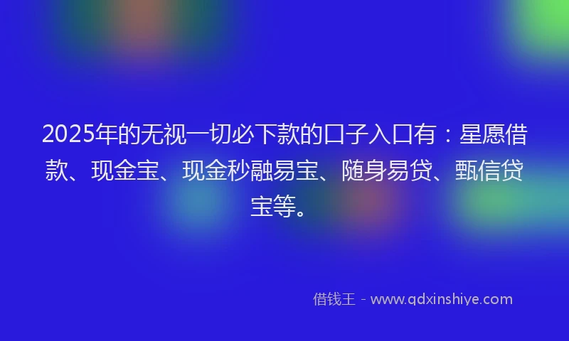 2025年的无视一切必下款的口子入口有：星愿借款、现金宝、现金秒融易宝、随身易贷、甄信贷宝等。