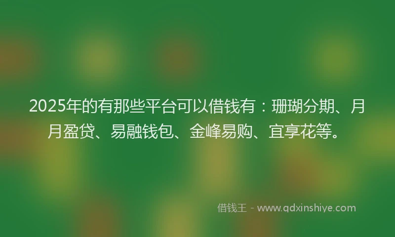 2025年的有那些平台可以借钱有：珊瑚分期、月月盈贷、易融钱包、金峰易购、宜享花等。
