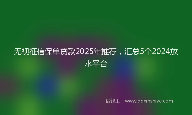 无视征信保单贷款2025年推荐，汇总5个2024放水平台