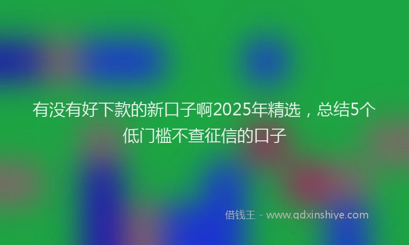 有没有好下款的新口子啊2025年精选，总结5个低门槛不查征信的口子