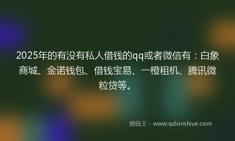 2025年的有没有私人借钱的qq或者微信有：白象商城、金诺钱包、借钱宝易、一橙租机、腾讯微粒贷等。