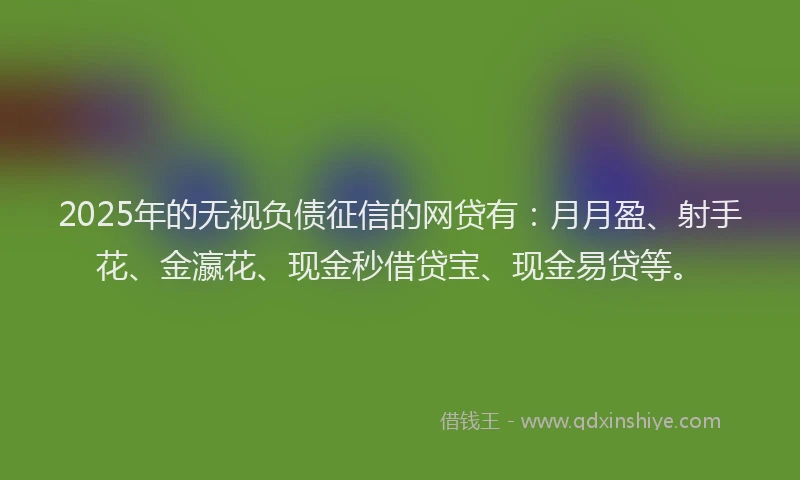 2025年的无视负债征信的网贷有：月月盈、射手花、金瀛花、现金秒借贷宝、现金易贷等。
