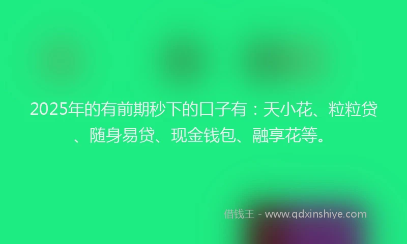 2025年的有前期秒下的口子有：天小花、粒粒贷、随身易贷、现金钱包、融享花等。