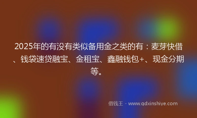 2025年的有没有类似备用金之类的有：麦芽快借、钱袋速贷融宝、金租宝、鑫融钱包+、现金分期等。